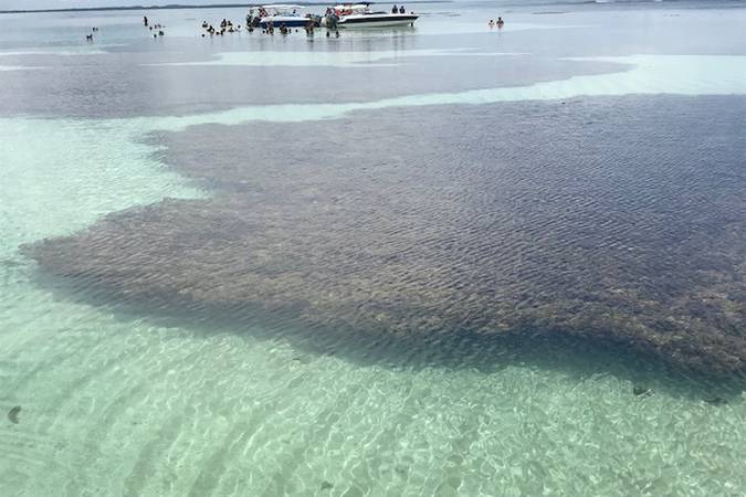 Piscinas naturais da Quarta Praia